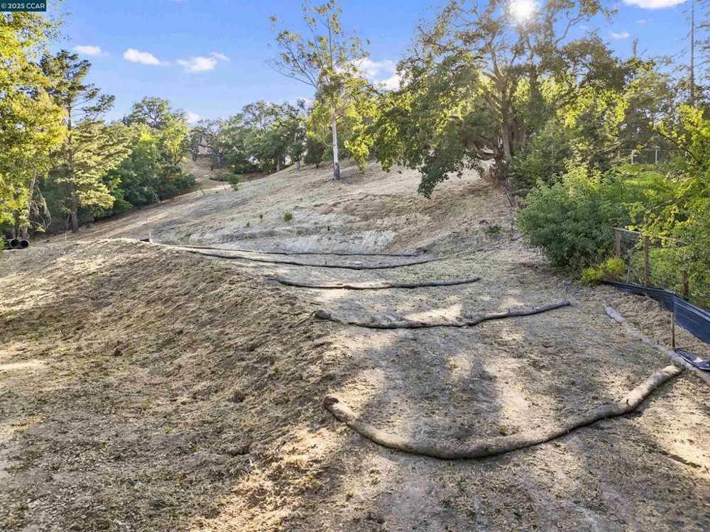 221 Dean Rd Alamo, CA 94507