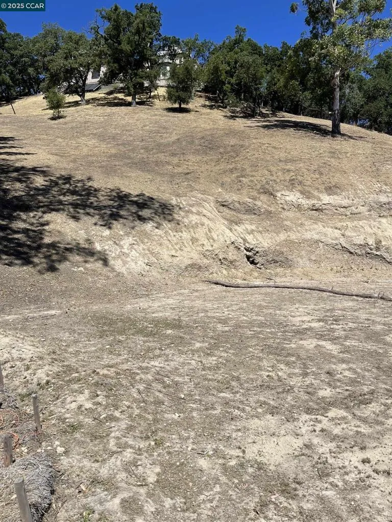 221 Dean Rd Alamo, CA 94507