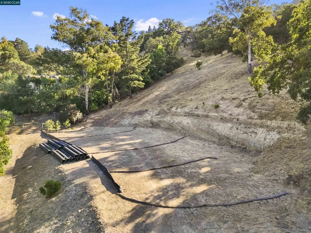 221 Dean Rd Alamo, CA 94507