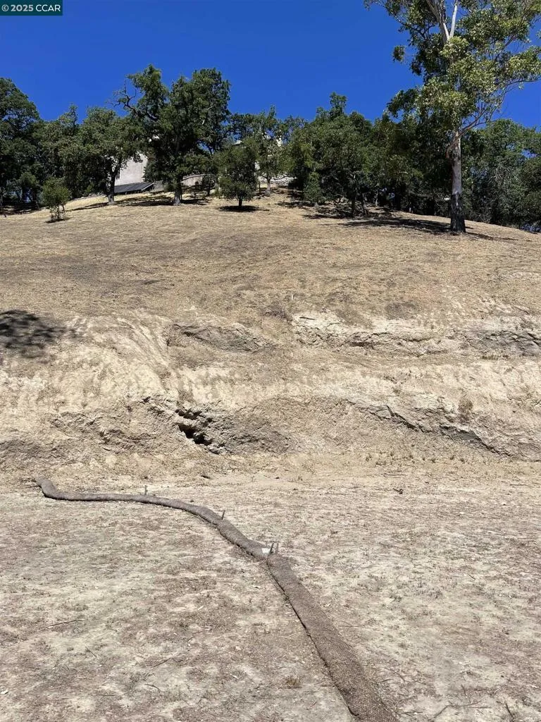 221 Dean Rd Alamo, CA 94507