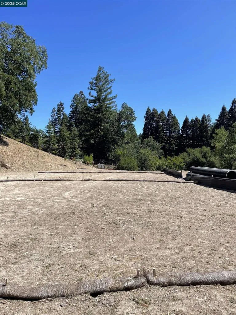 221 Dean Rd Alamo, CA 94507