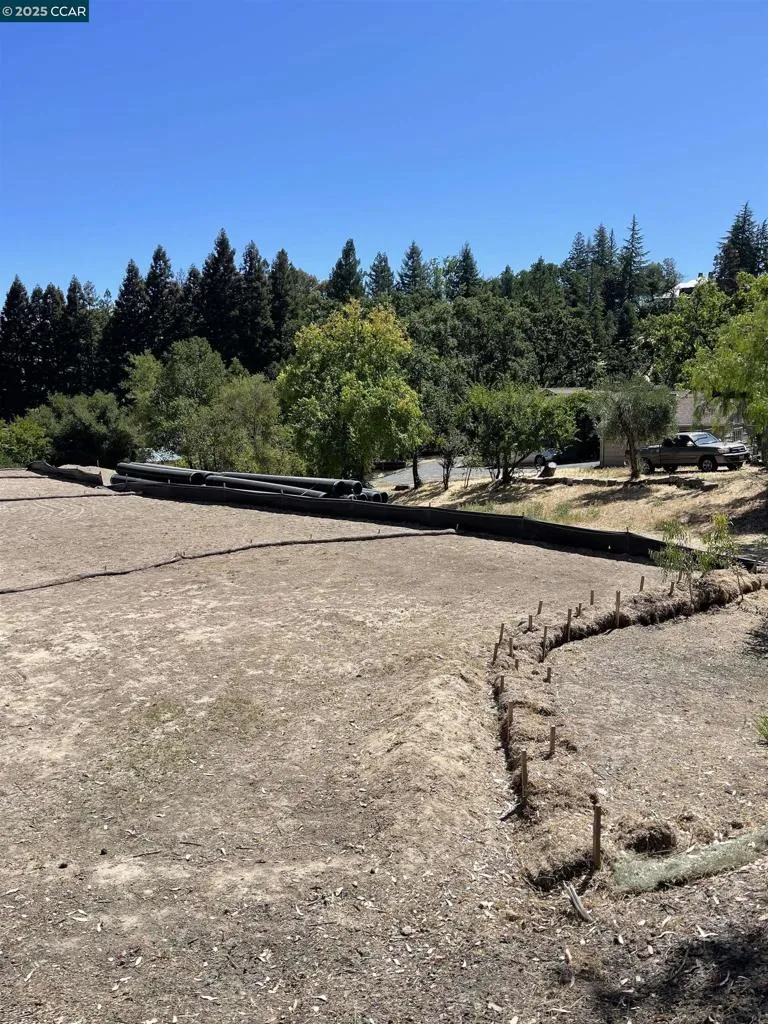 221 Dean Rd Alamo, CA 94507
