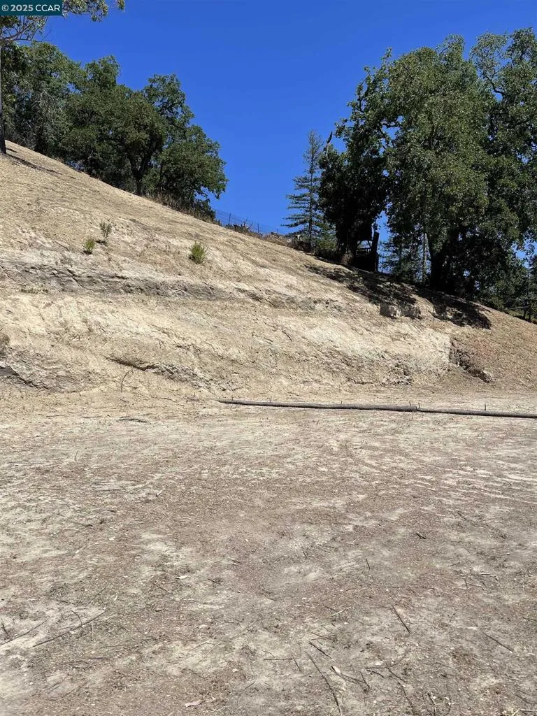 221 Dean Rd Alamo, CA 94507