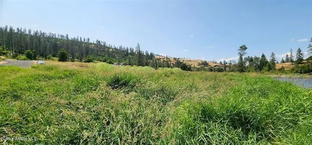 TBD Lukes Gulch Stites, ID 83552