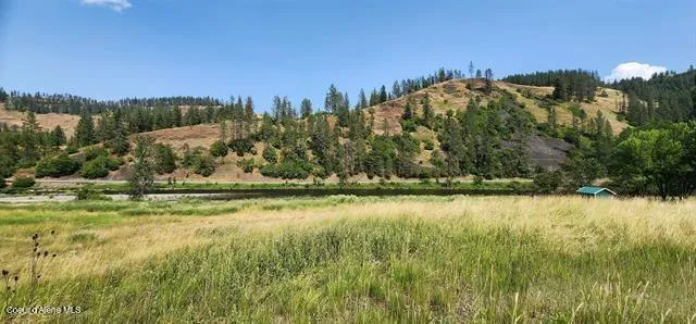 TBD Lukes Gulch Stites, ID 83552