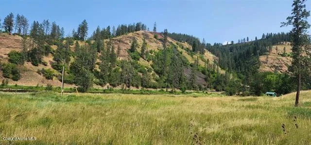 TBD Lukes Gulch Stites, ID 83552