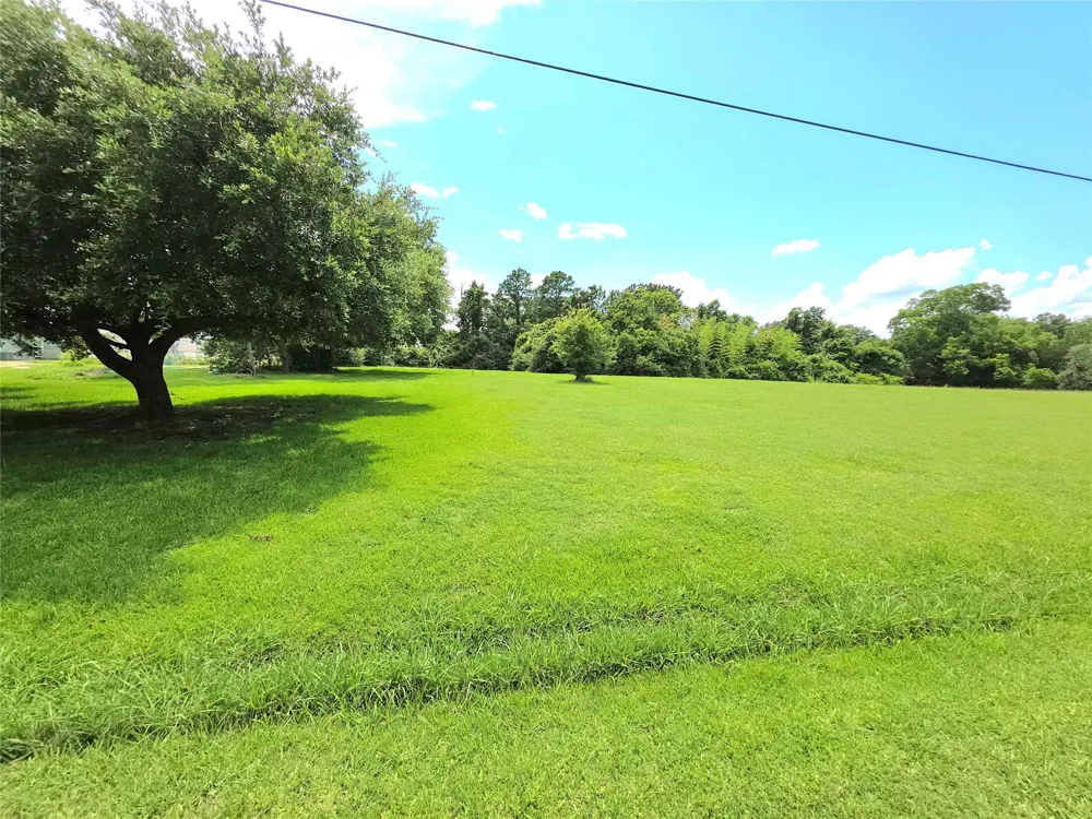 High Crest Dr Point Blank, TX 77364