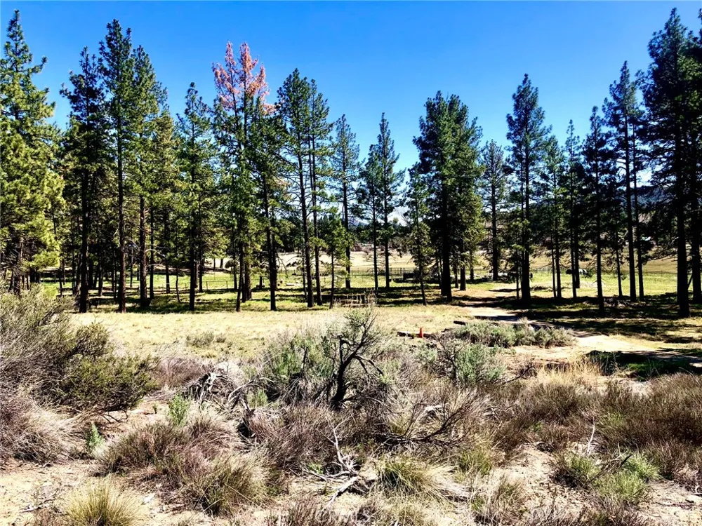 Butterfly Peak Rd. Mountain Center, CA 92561