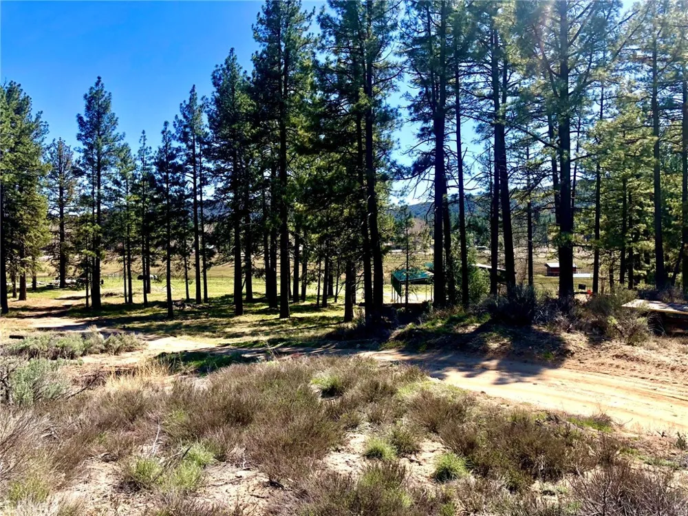 Butterfly Peak Rd. Mountain Center, CA 92561