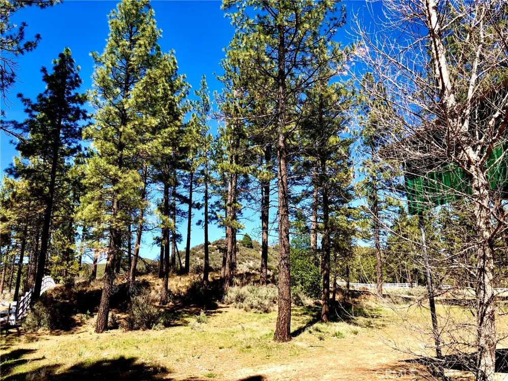Butterfly Peak Rd. Mountain Center, CA 92561