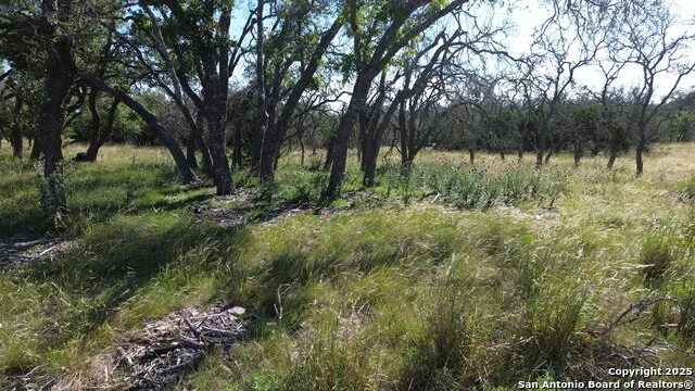 LOT 10 Rustler Ridge Mountain Home, TX 78058