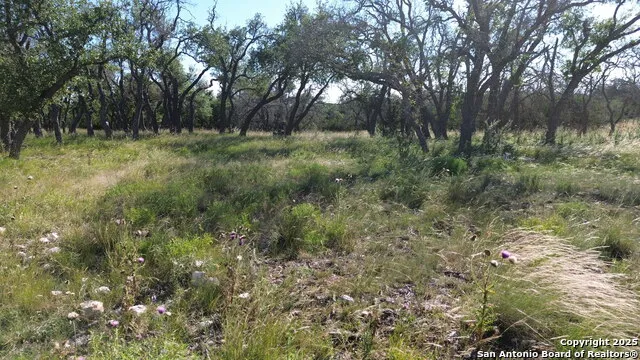 LOT 10 Rustler Ridge Mountain Home, TX 78058