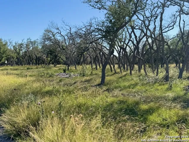 LOT 10 Rustler Ridge Mountain Home, TX 78058