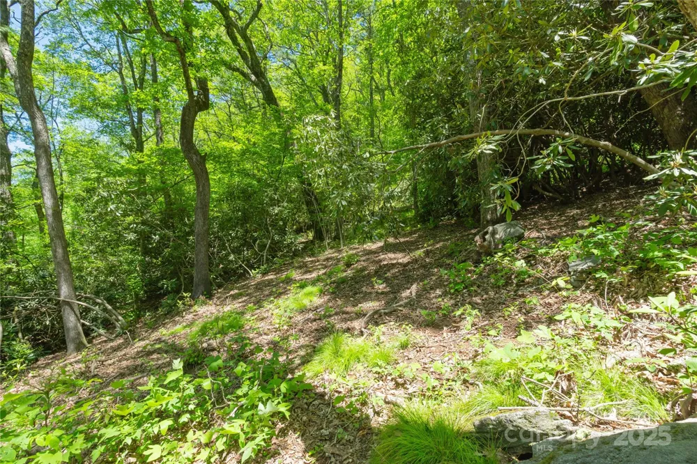 TBD Upper Lake Road #69 Highlands, NC 28741