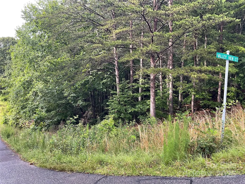 0 Valley View Court Hickory, NC 28602