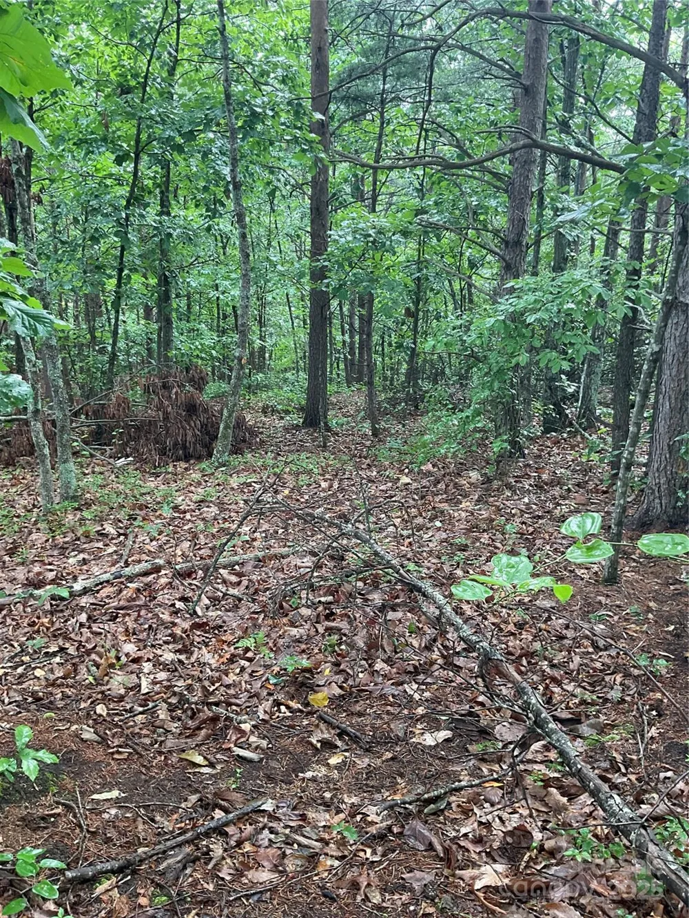 0 Valley View Court Hickory, NC 28602