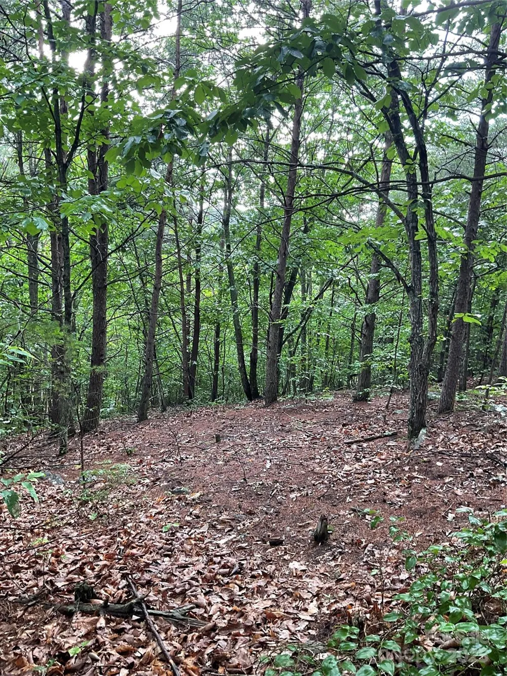 0 Valley View Court Hickory, NC 28602