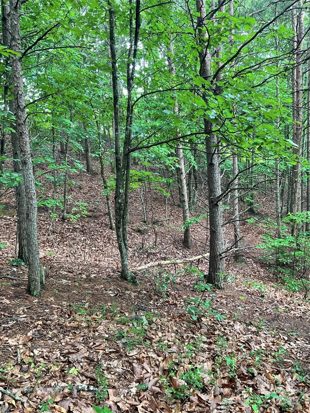 0 Valley View Court Hickory, NC 28602