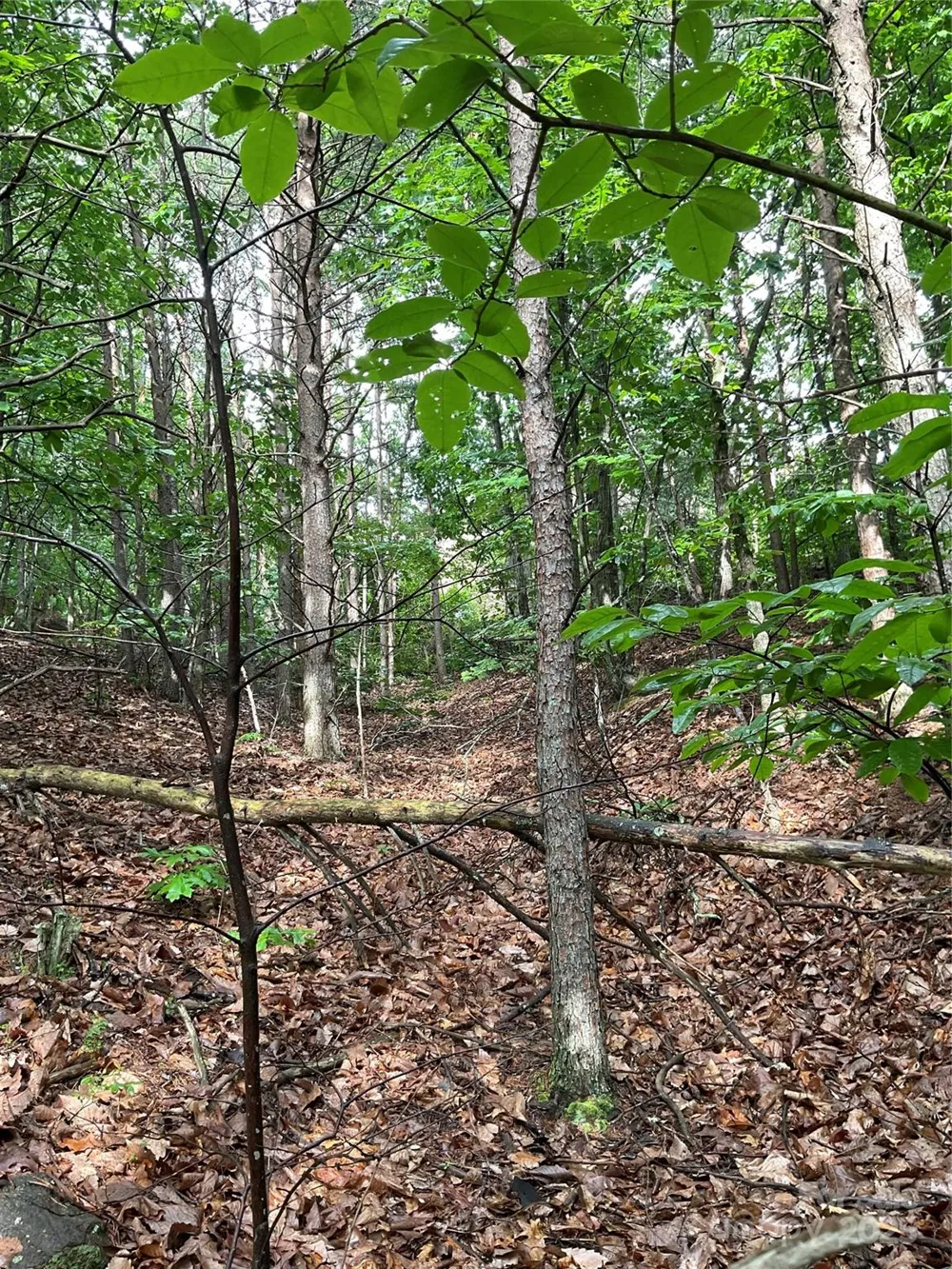 0 Valley View Court Hickory, NC 28602