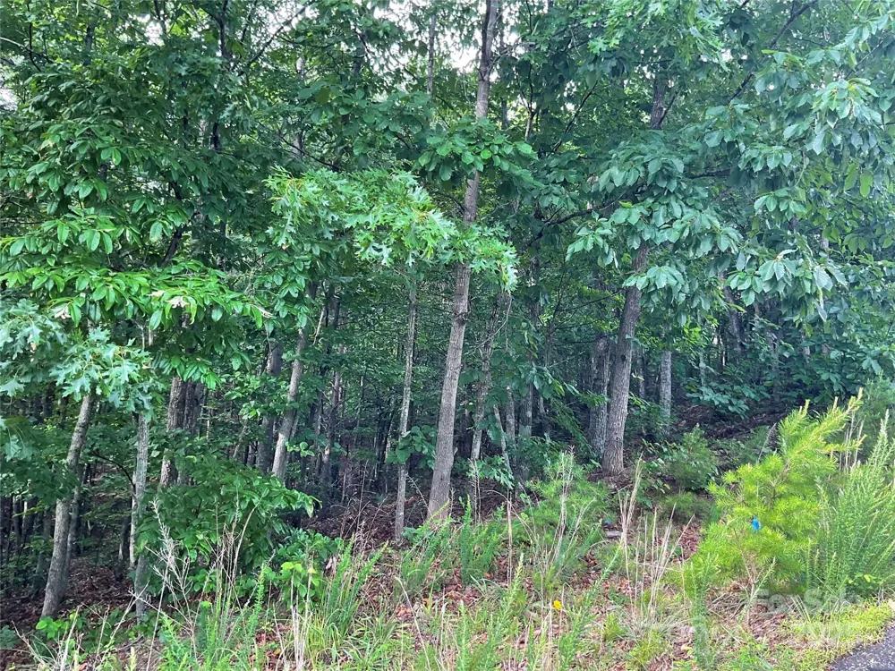 0 Valley View Court Hickory, NC 28602