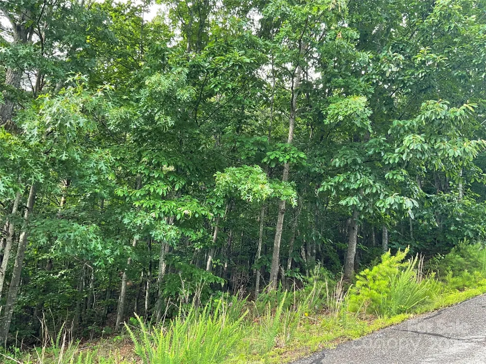 0 Valley View Court Hickory, NC 28602