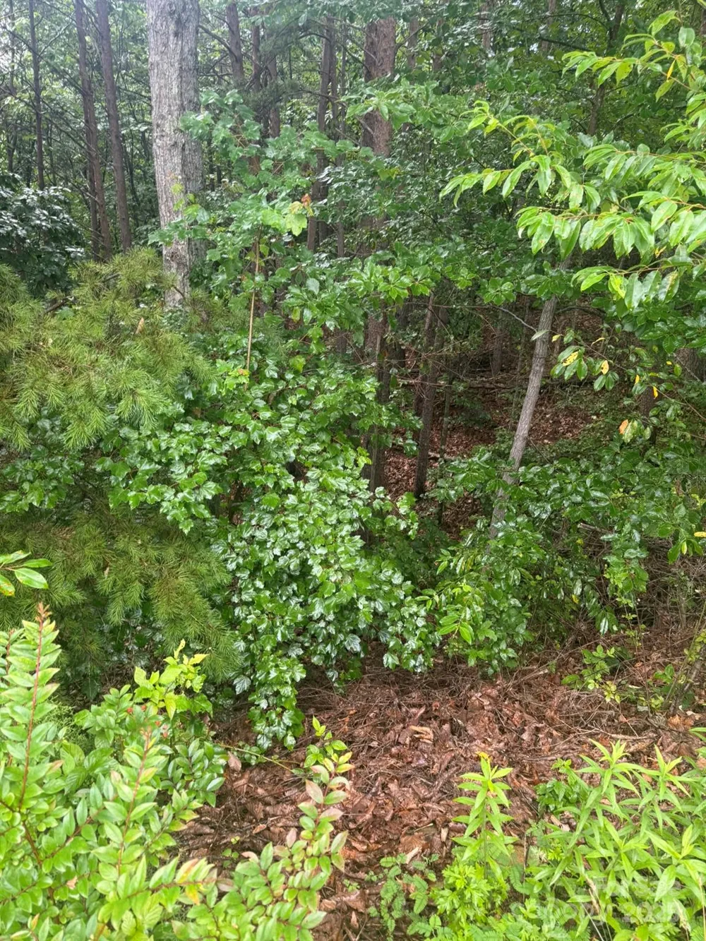 0 Valley View Court Hickory, NC 28602