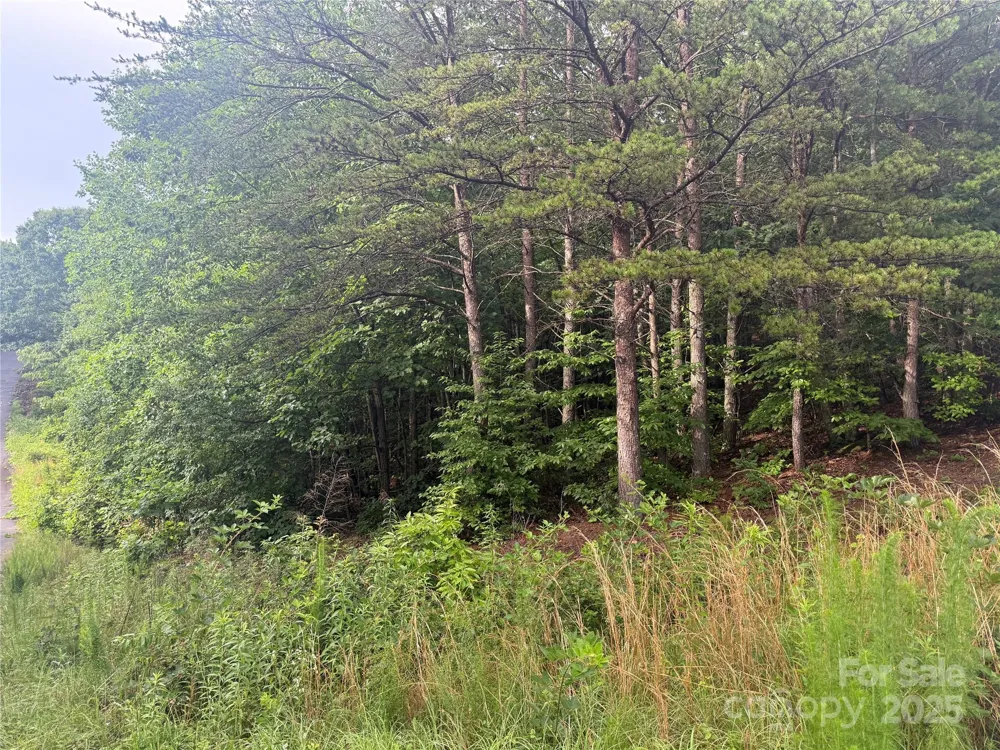 0 Valley View Court Hickory, NC 28602