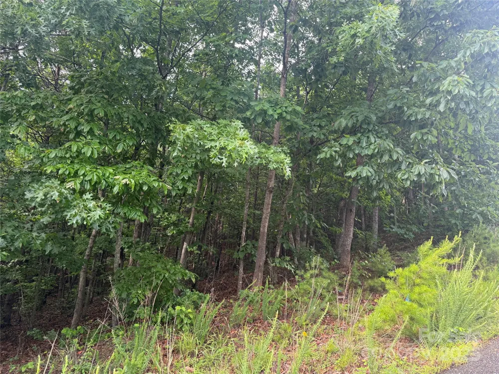 0 Valley View Court Hickory, NC 28602
