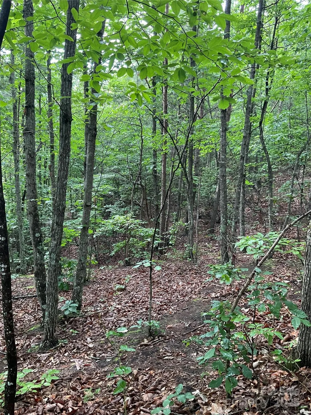0 Valley View Court Hickory, NC 28602