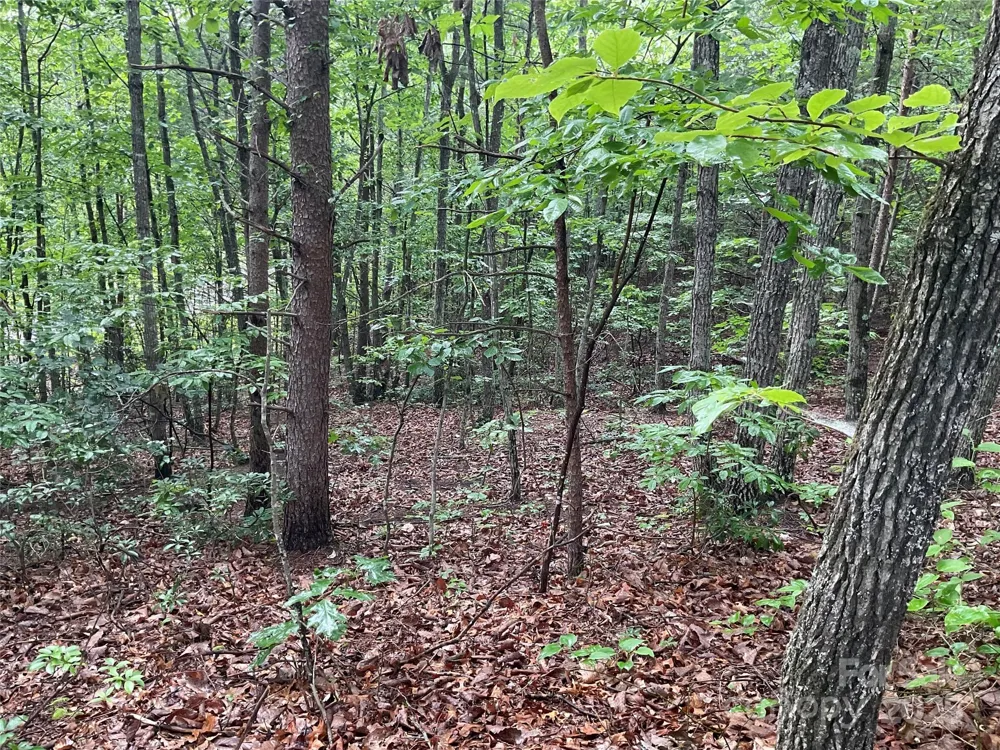 0 Valley View Court Hickory, NC 28602