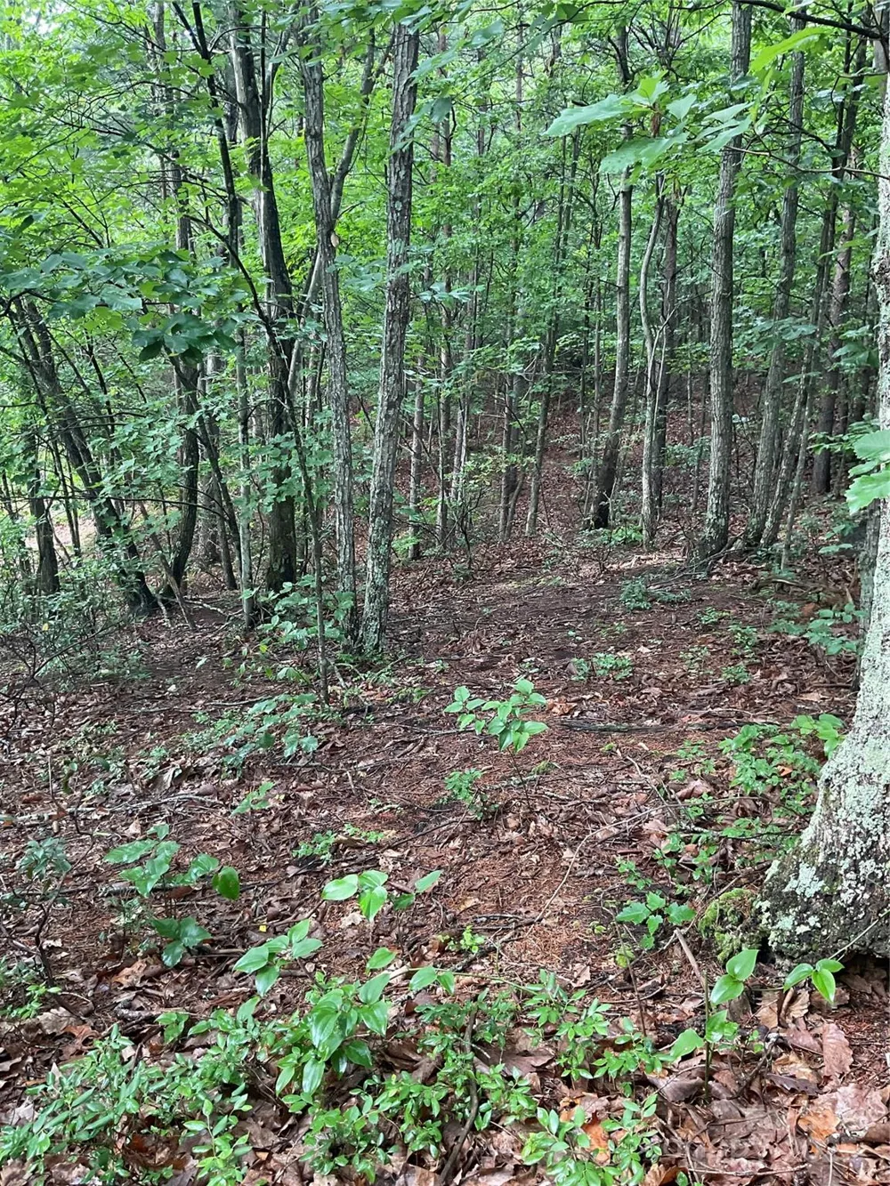 0 Valley View Court Hickory, NC 28602