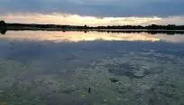 240 State Road 35 Alma, WI 54610