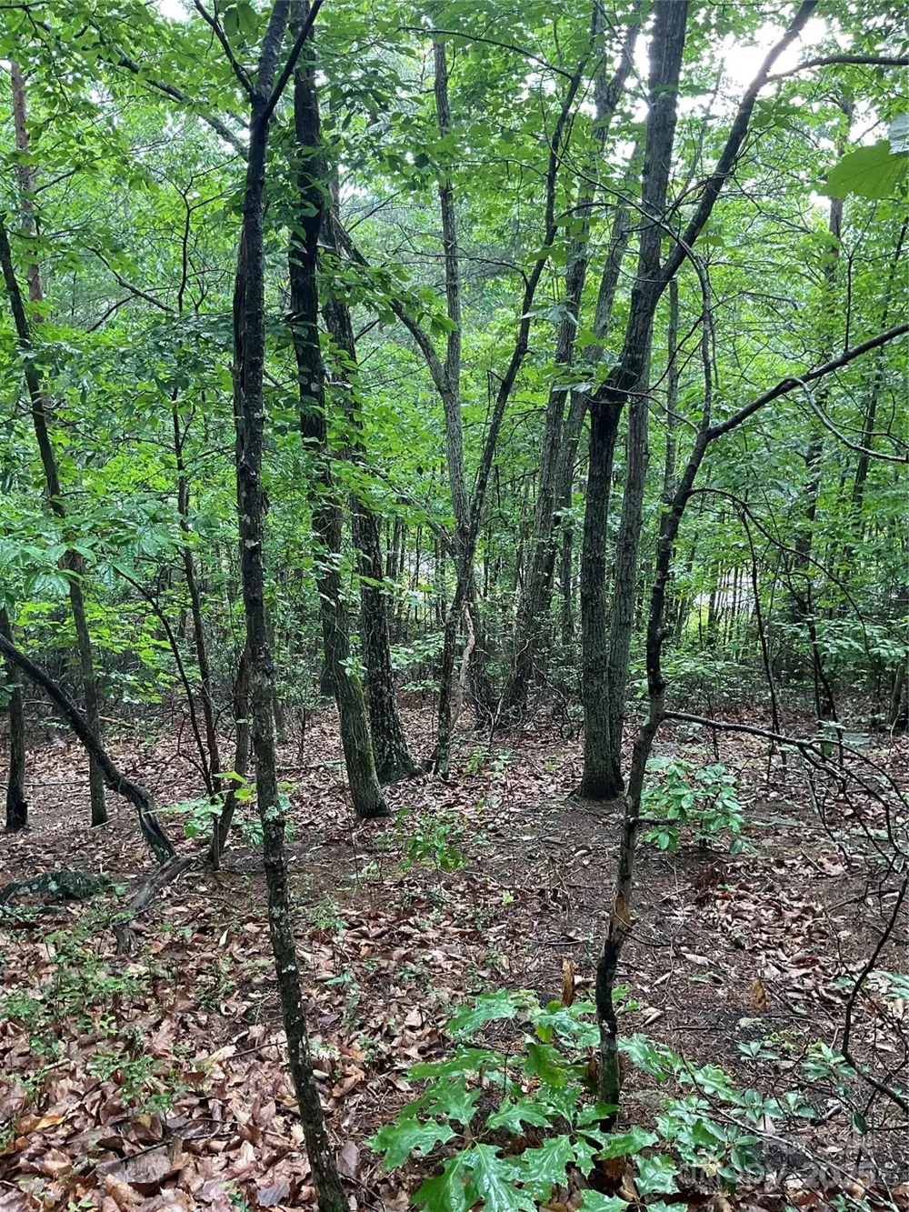 0 Pineknoll Drive Hickory, NC 28602