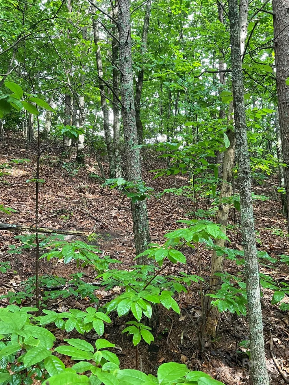 0 Pineknoll Drive Hickory, NC 28602