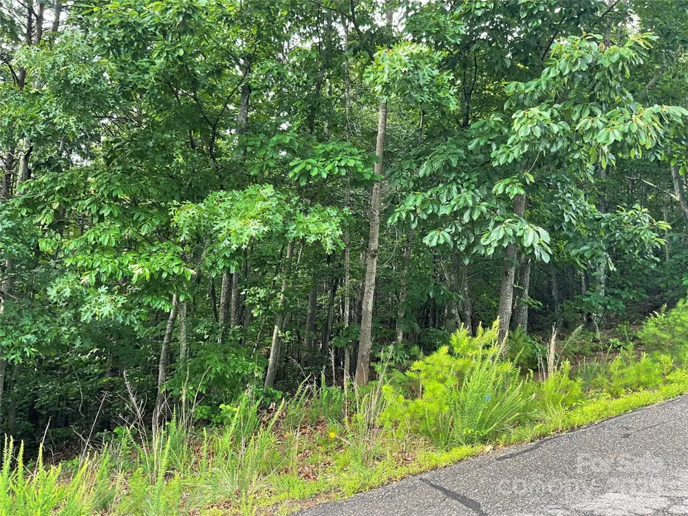 0 Pineknoll Drive Hickory, NC 28602