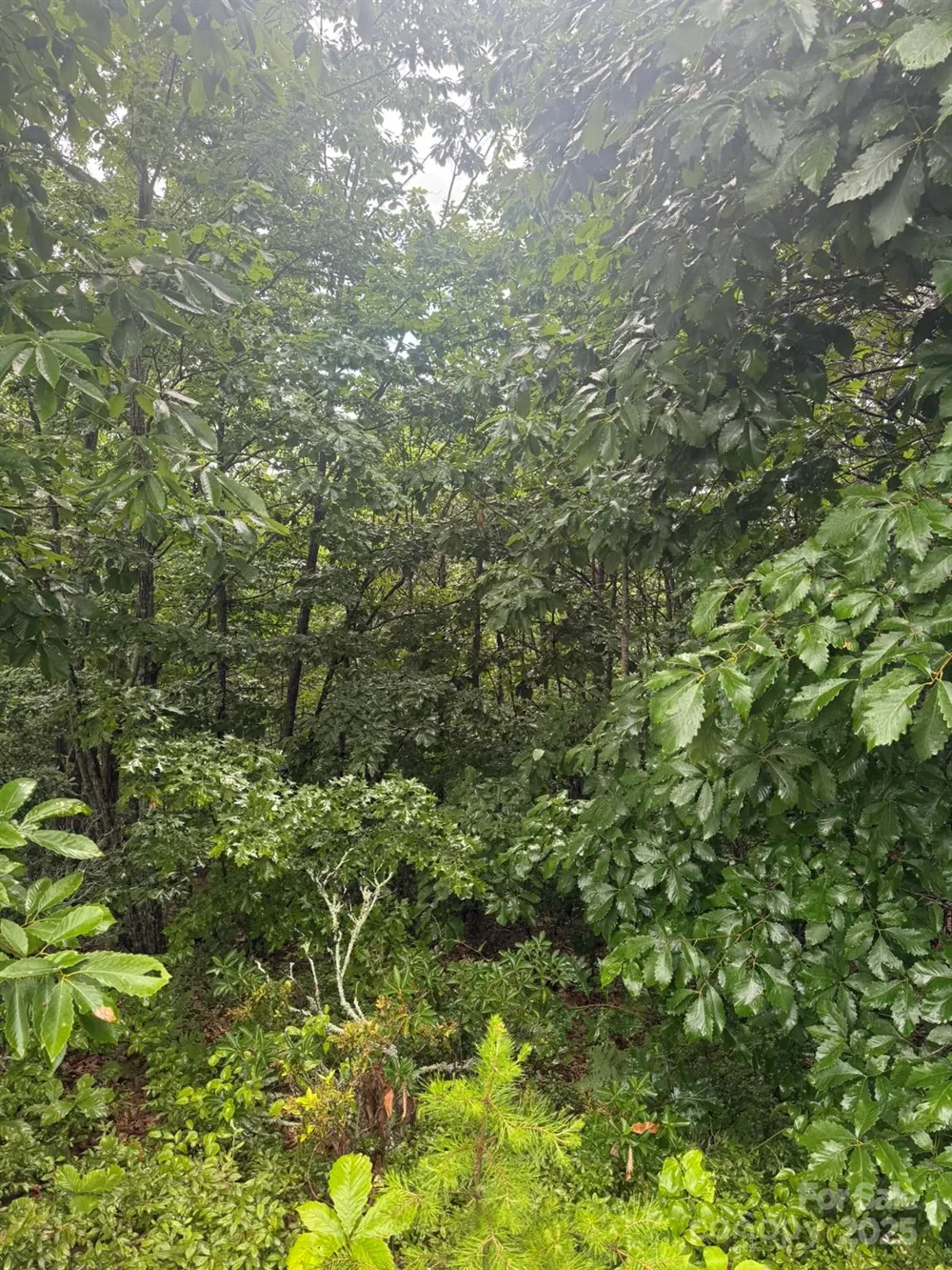 0 Pineknoll Drive Hickory, NC 28602