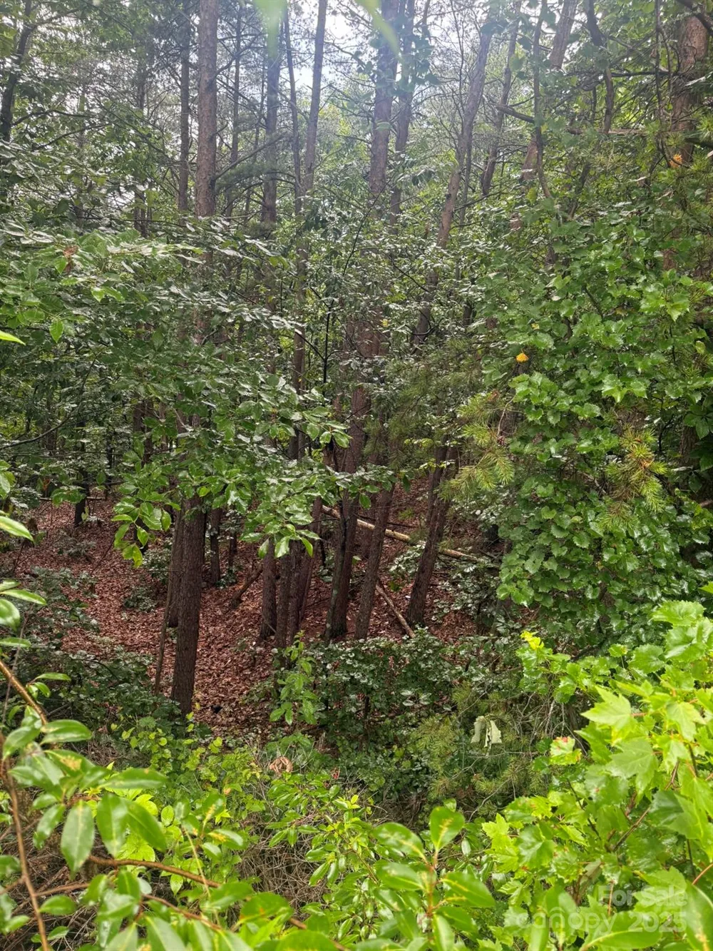 0 Pineknoll Drive Hickory, NC 28602