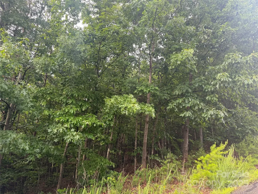 0 Pineknoll Drive Hickory, NC 28602