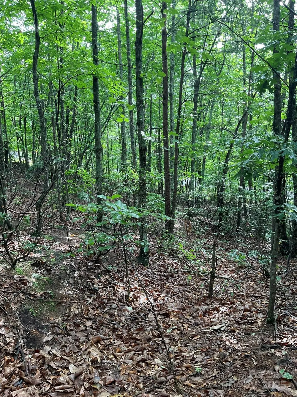 0 Valley View Court Hickory, NC 28602