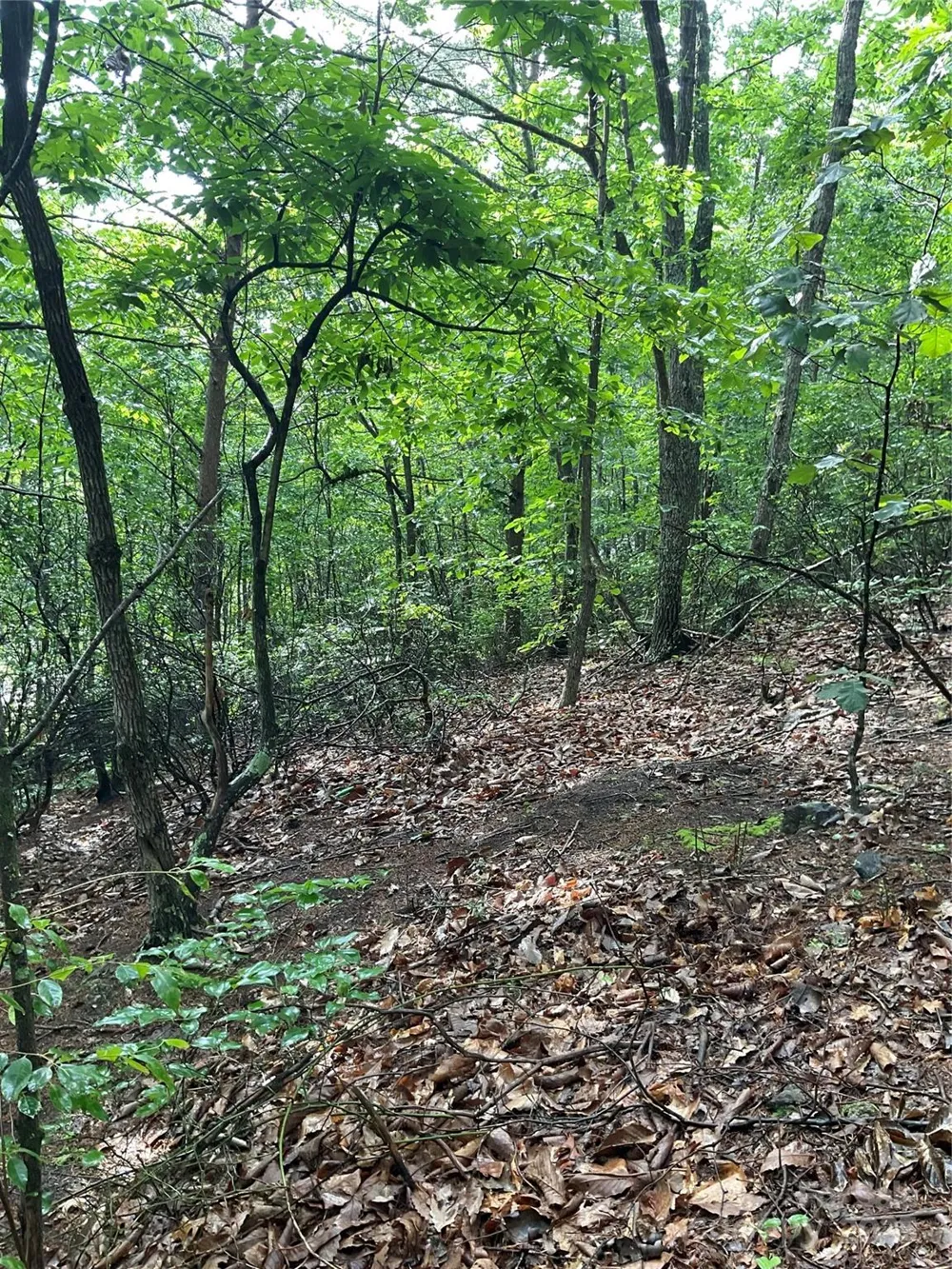 0 Valley View Court Hickory, NC 28602