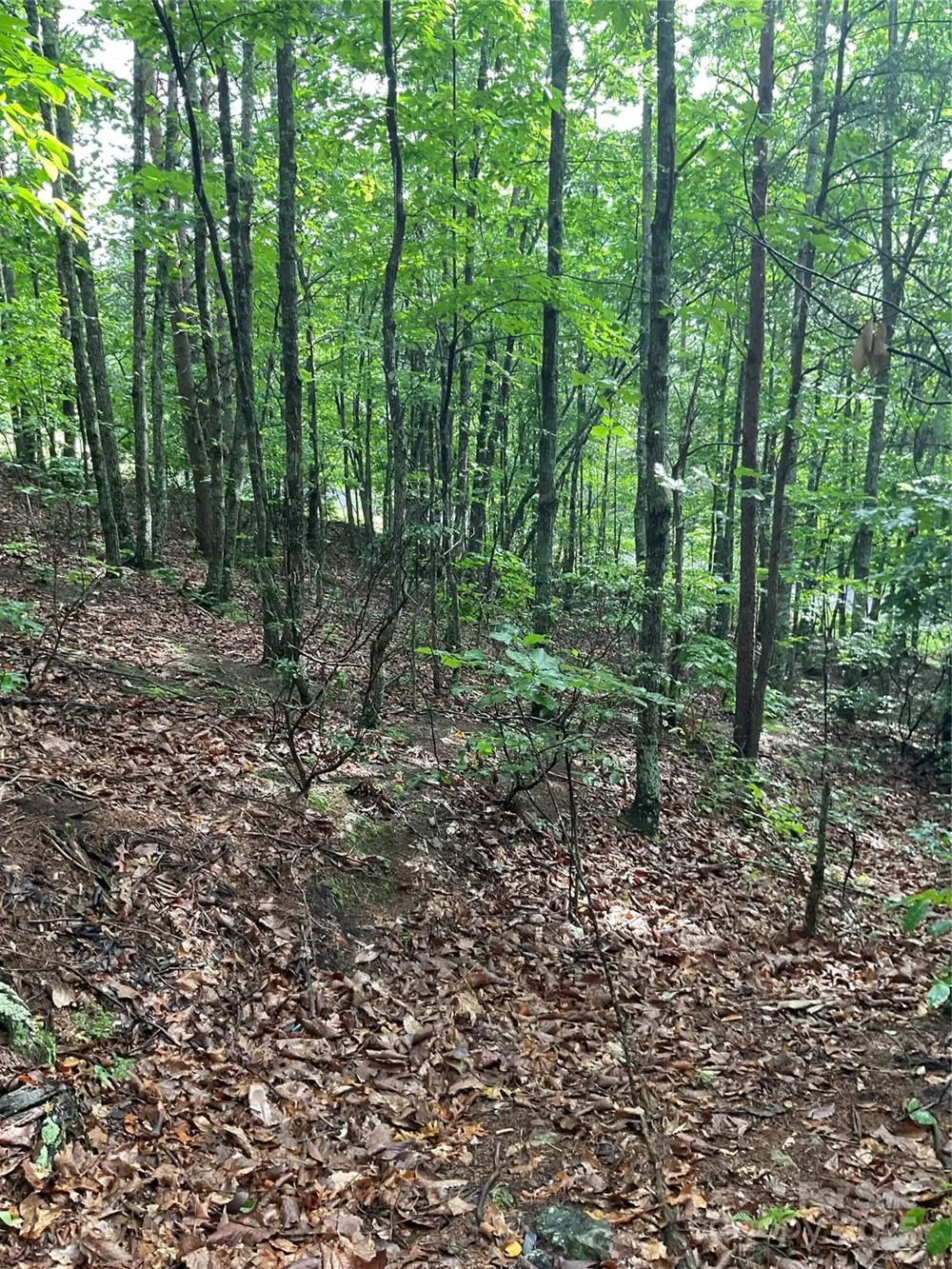 0 Valley View Court Hickory, NC 28602