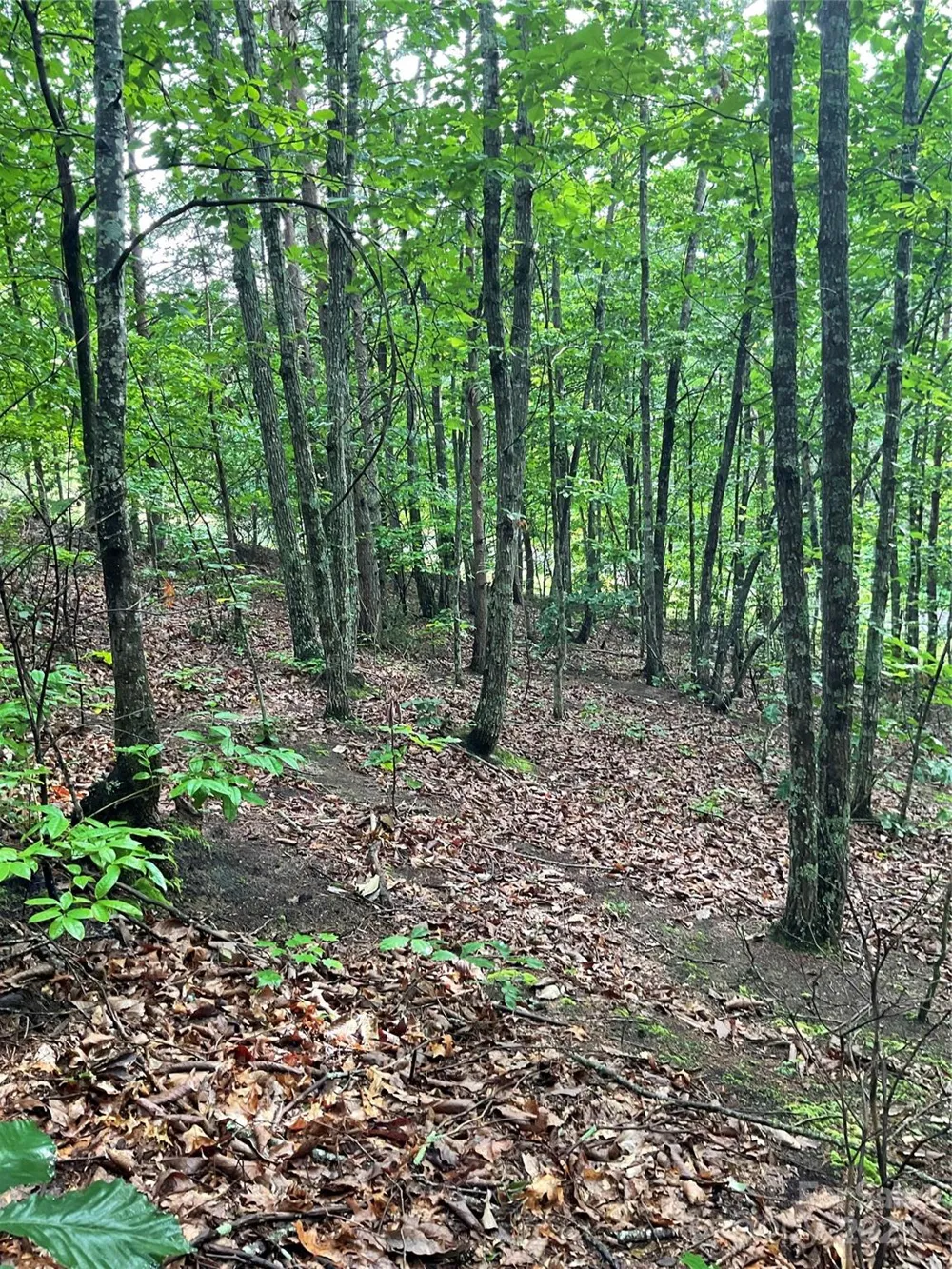 0 Valley View Court Hickory, NC 28602