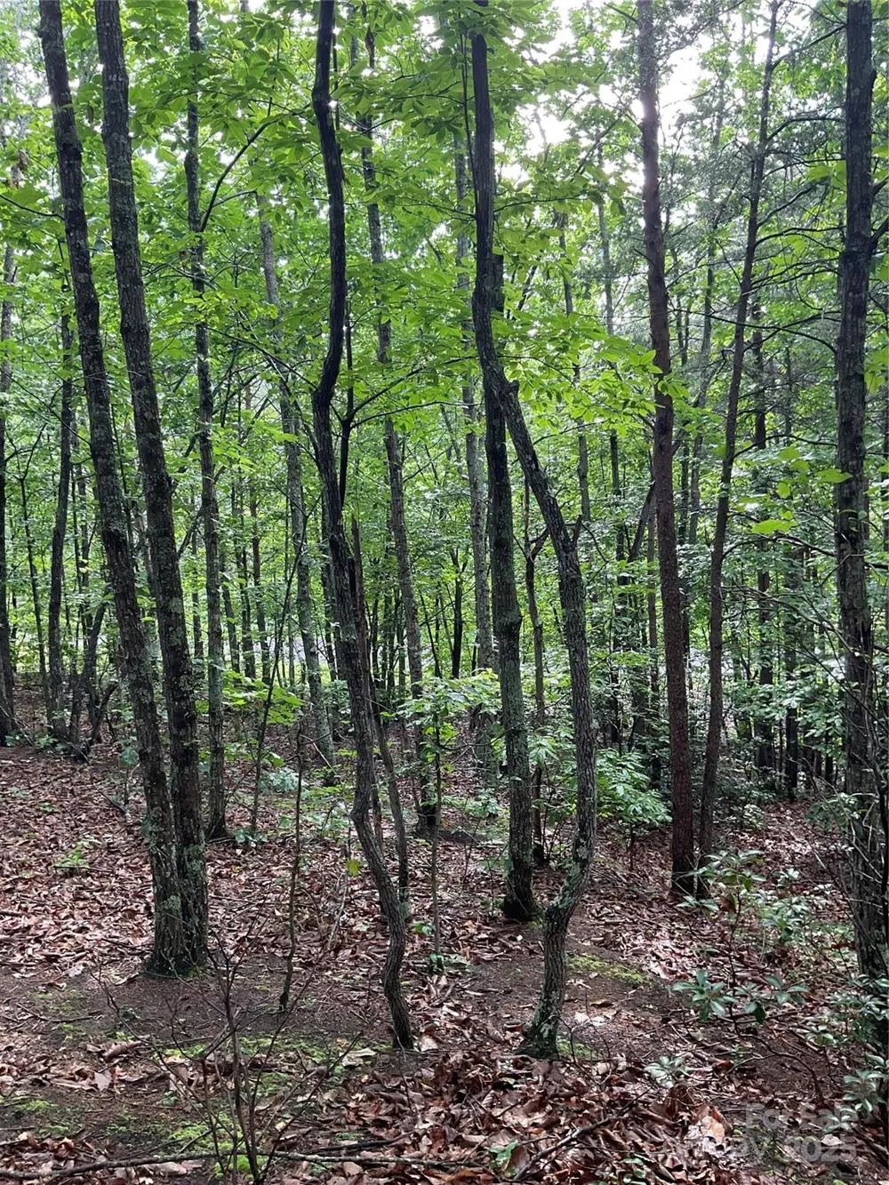 0 Valley View Court Hickory, NC 28602