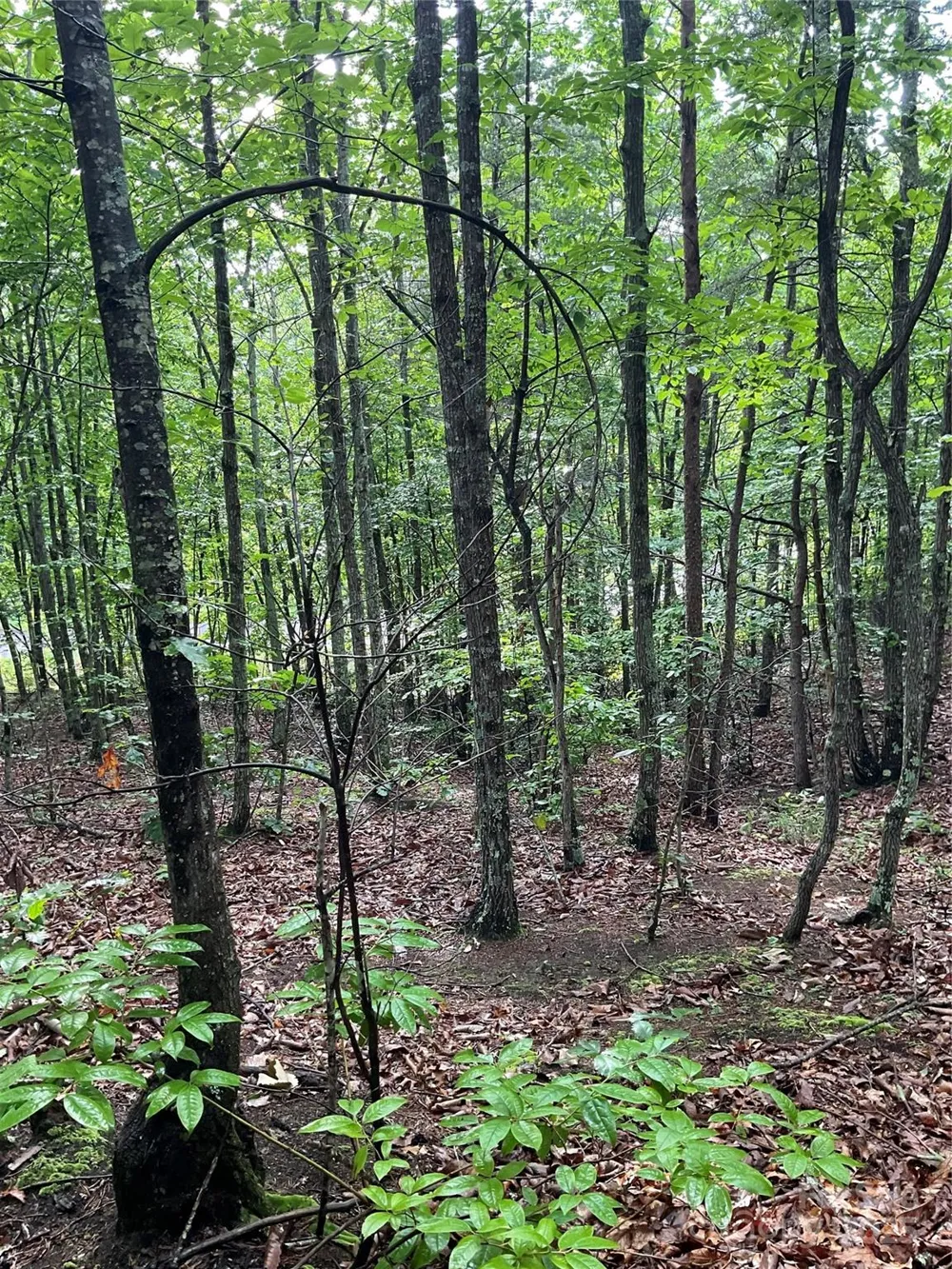 0 Valley View Court Hickory, NC 28602