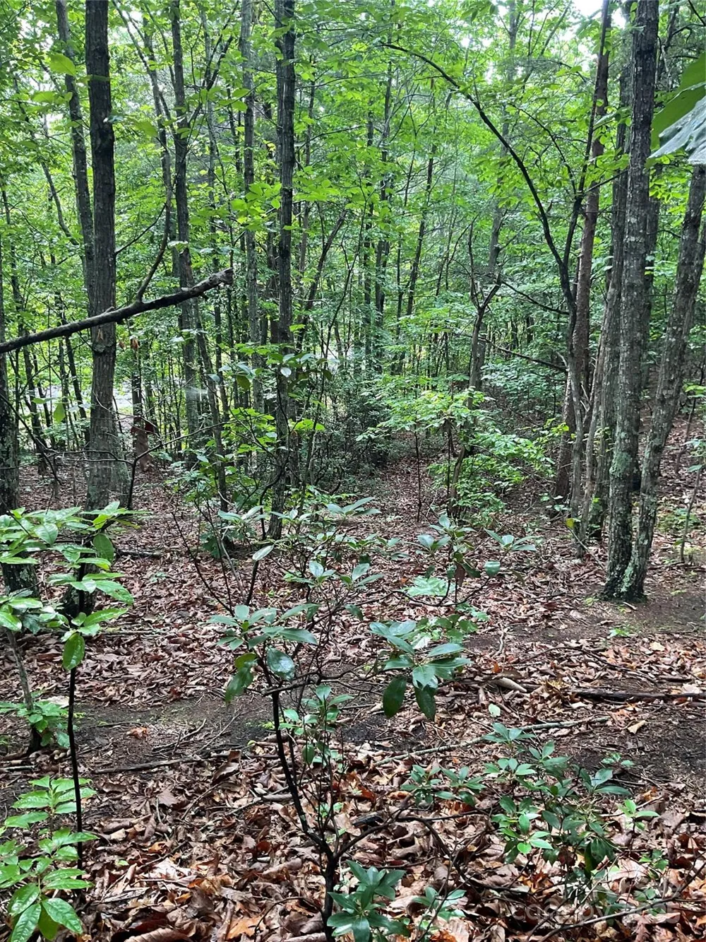0 Valley View Court Hickory, NC 28602