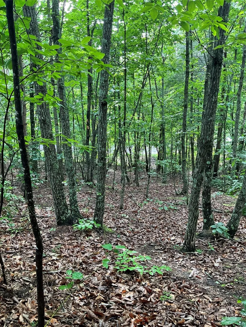 0 Valley View Court Hickory, NC 28602