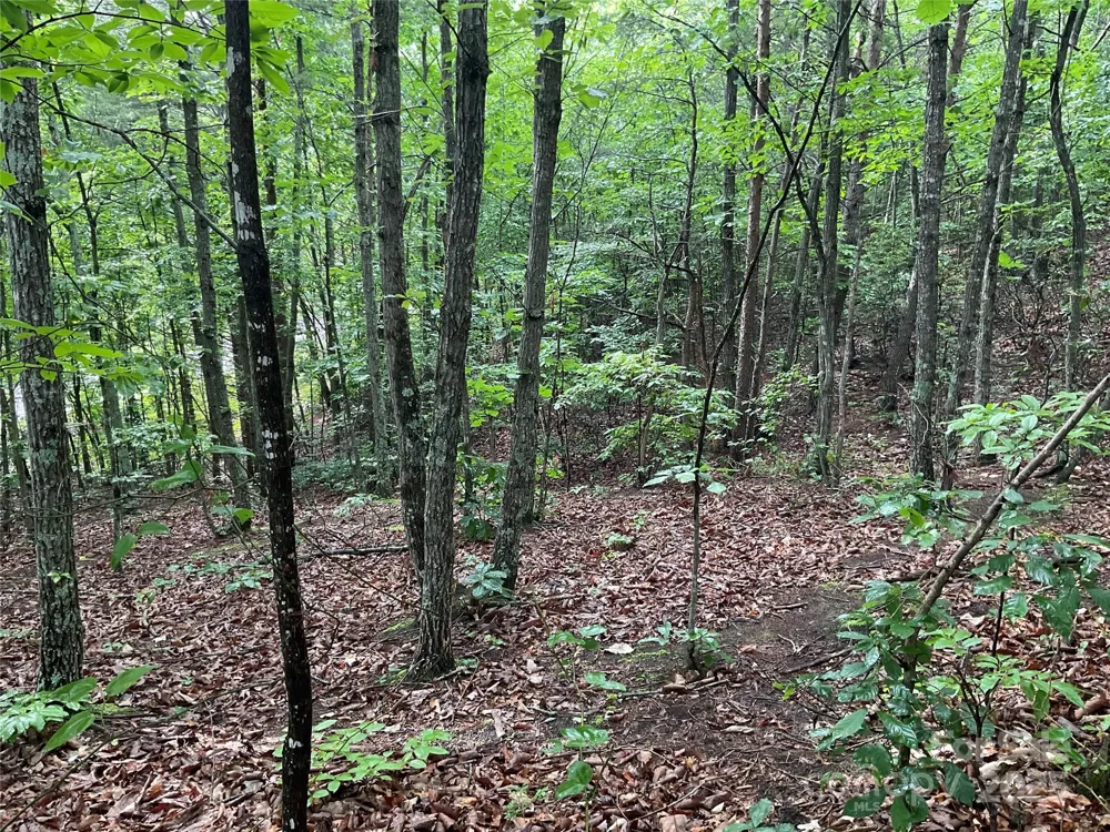 0 Valley View Court Hickory, NC 28602