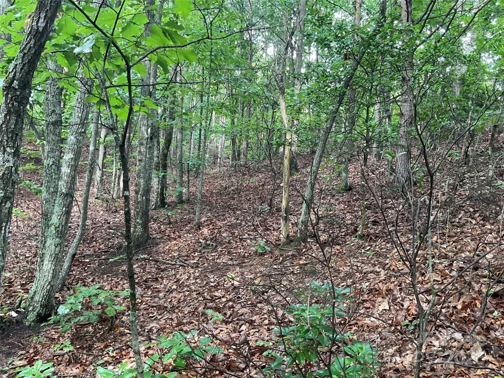 0 Valley View Court Hickory, NC 28602