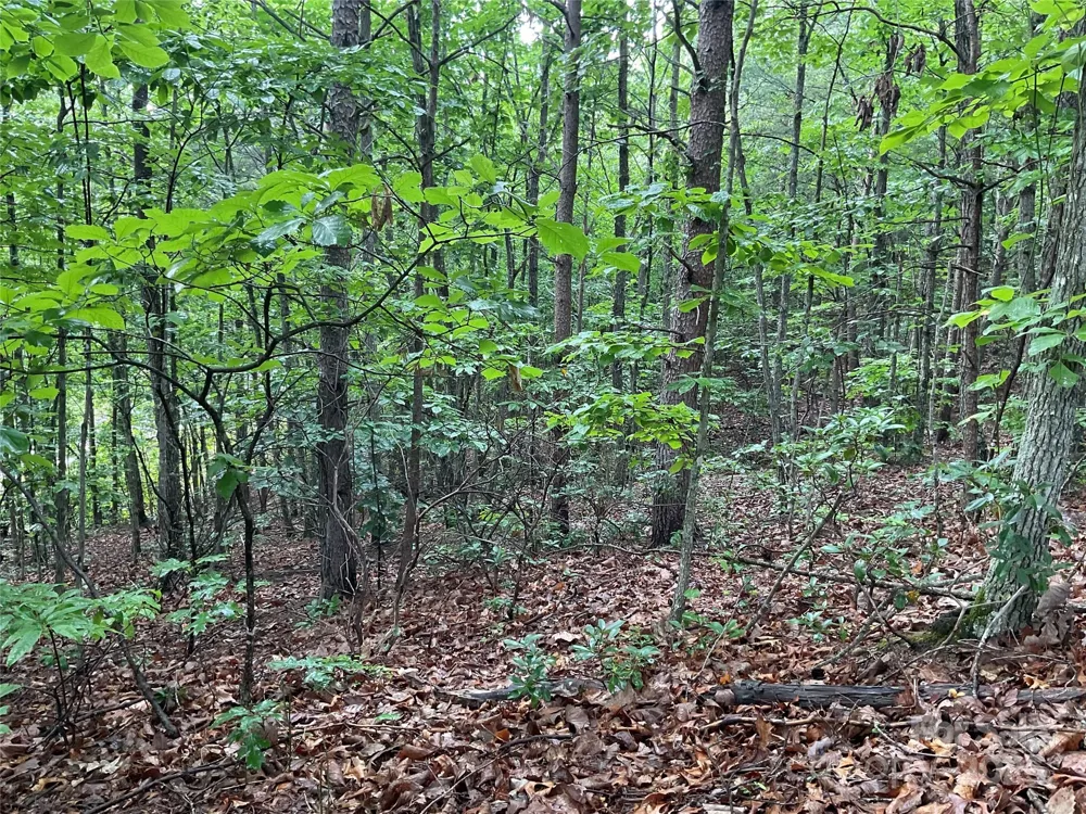 0 Valley View Court Hickory, NC 28602
