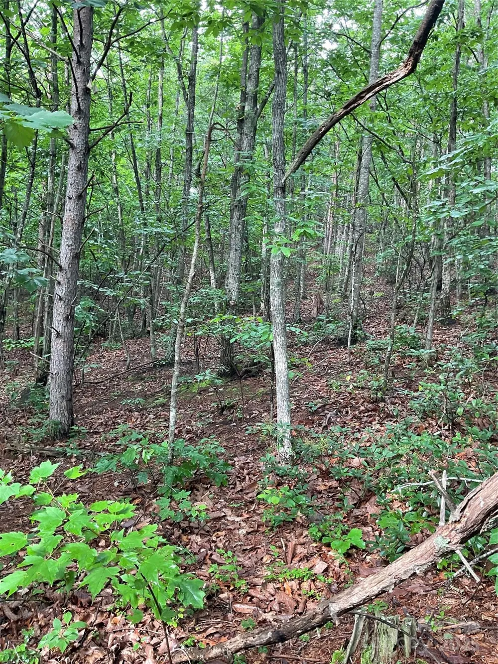 0 Valley View Court Hickory, NC 28602